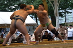 DSC_0236_original.JPG