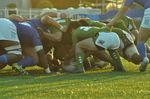 DSC_0255_original.JPG