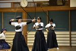 DSC_0803.JPG