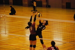 DSC_0949.JPG