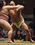 DSC_1175.jpg