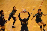 DSC_4950_original.JPG