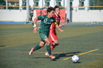 DSC_9186_original.JPG